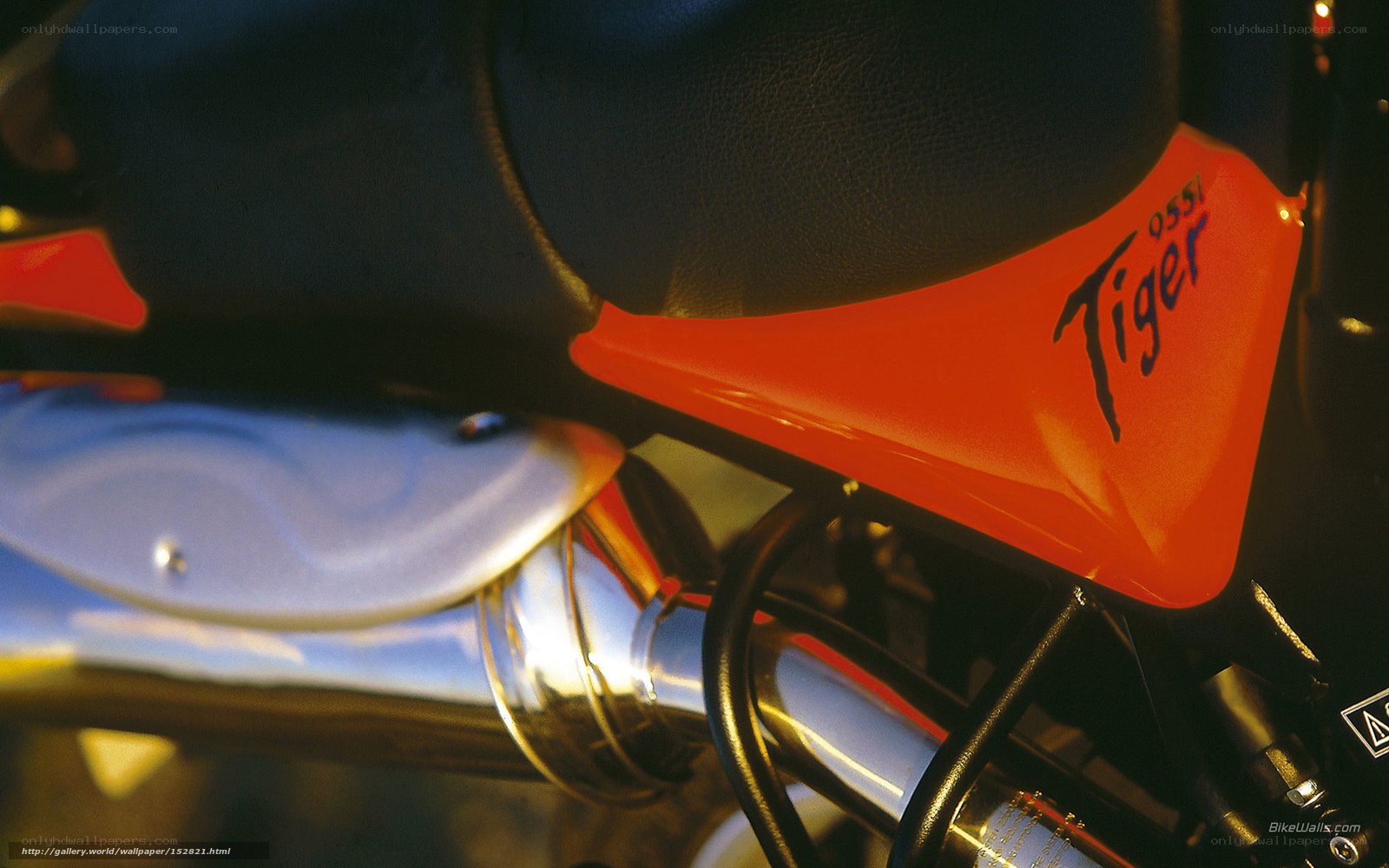 Close-up of a motorcycle seat