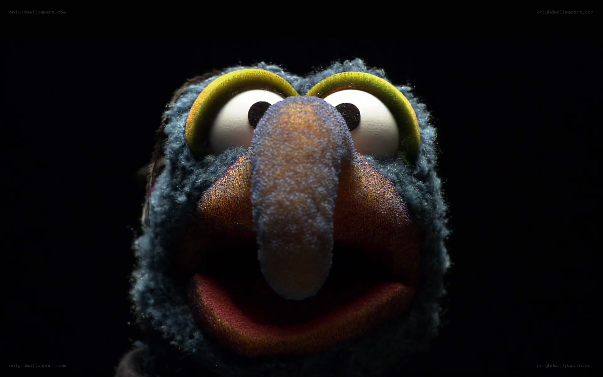close-up of a muppet character