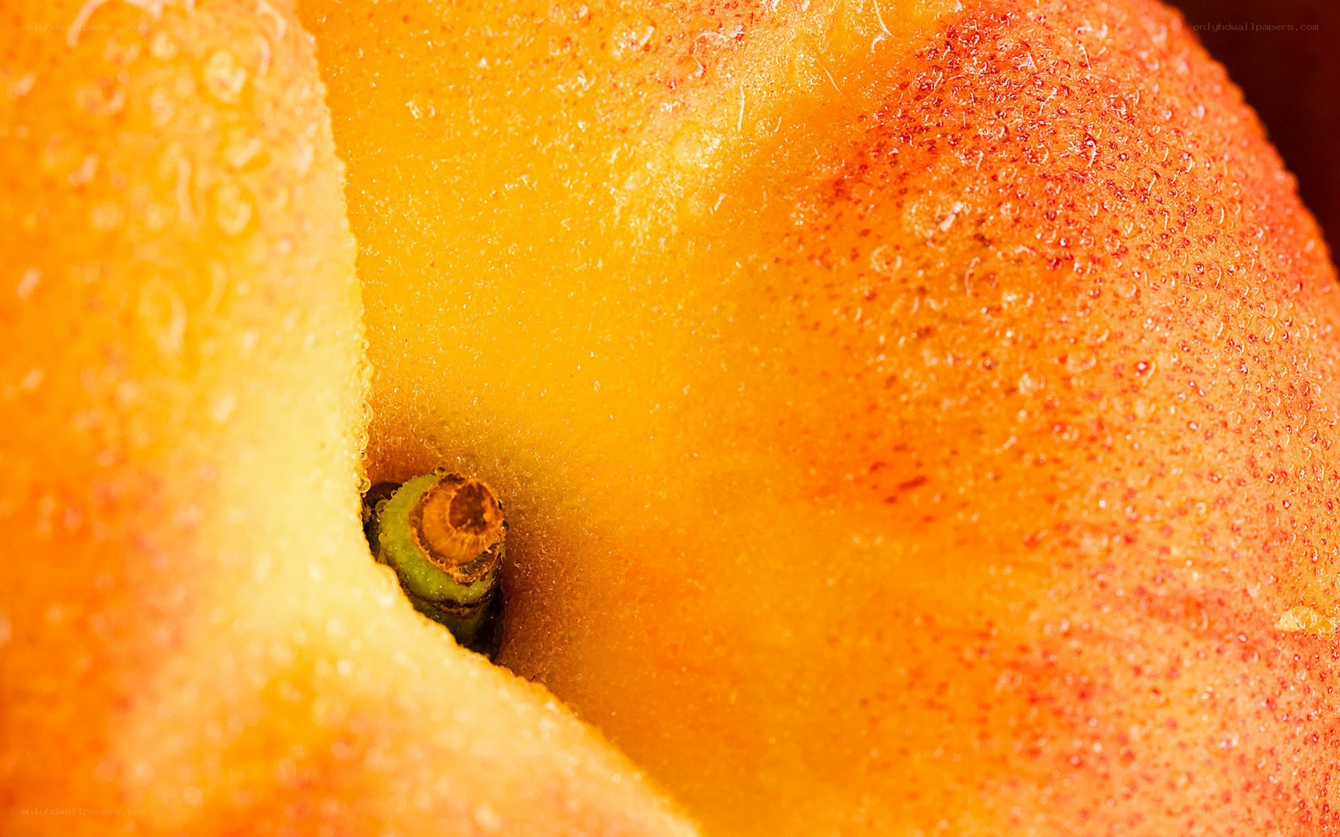 Close-up of a peach