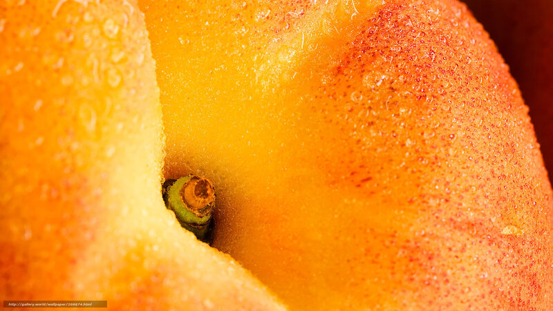 Close-up of a Peach — Orange, Natural