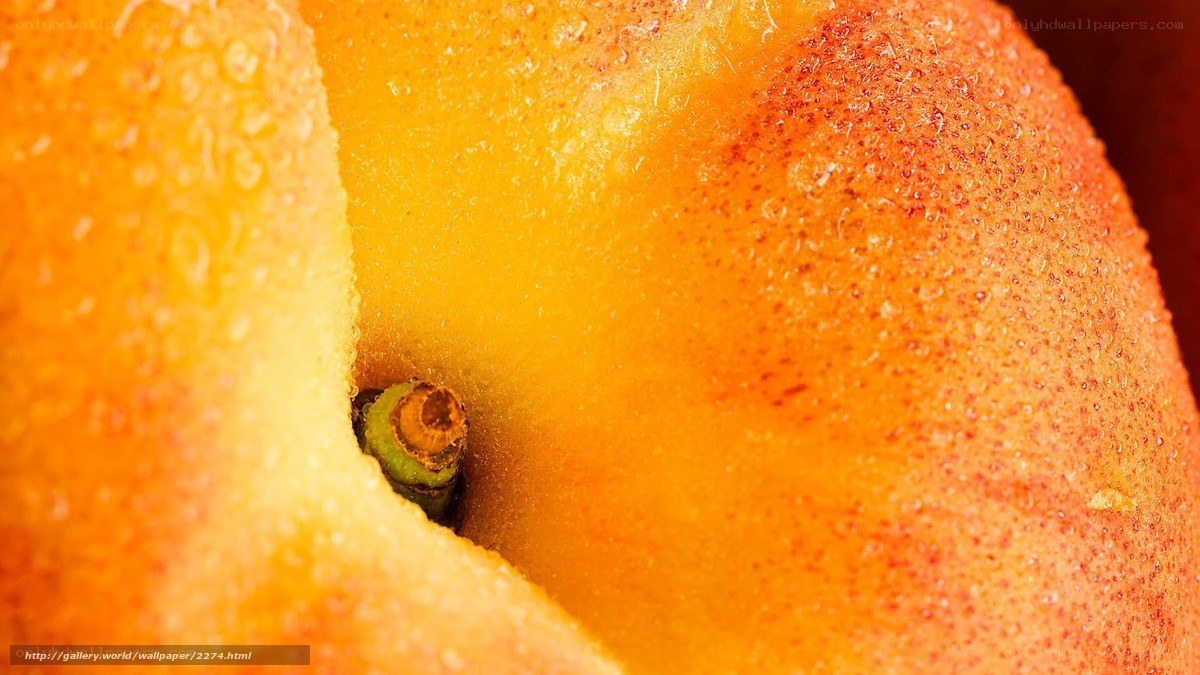 Close-up of a peach