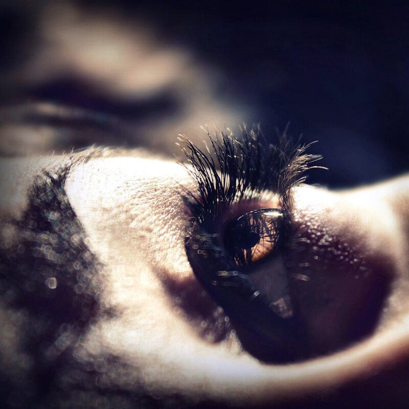 Close-up of a Person's Eye — Brown, Dramatic, Photograph, Eyelashes, Skin