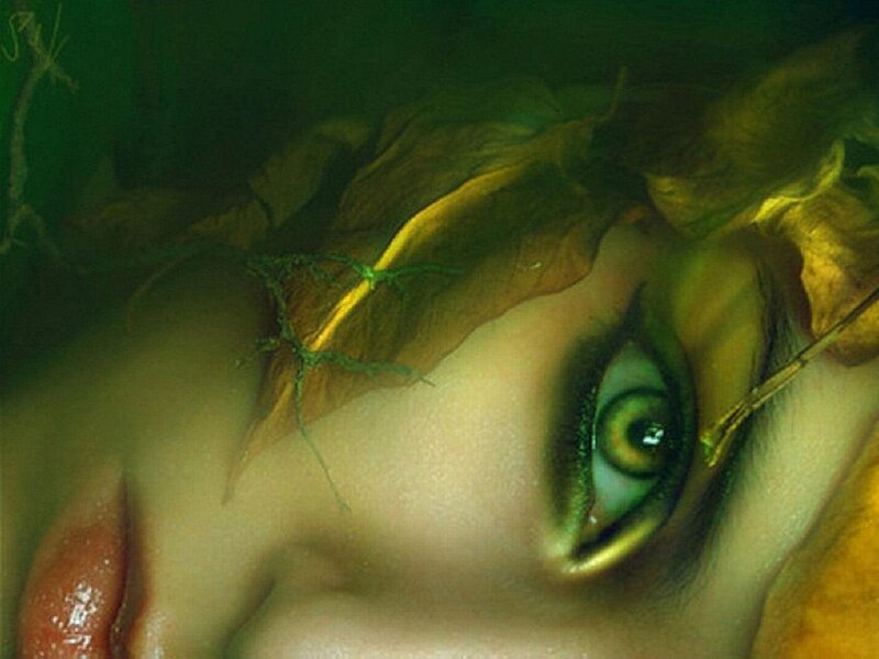 Close-up of a Person's Eye — Green, Dreamy