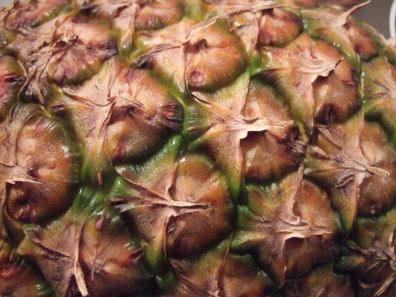 Close-up of a pineapple skin