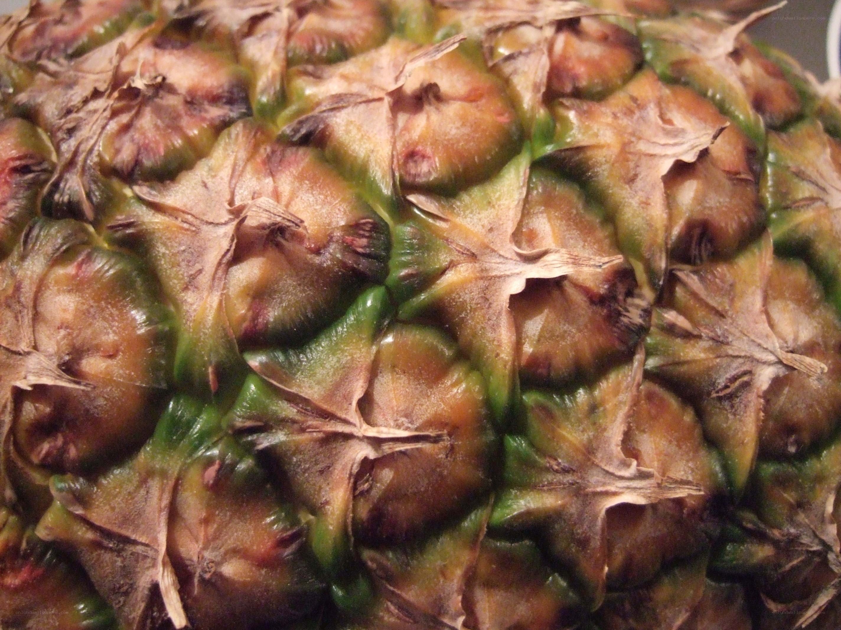 Close-up of a pineapple skin