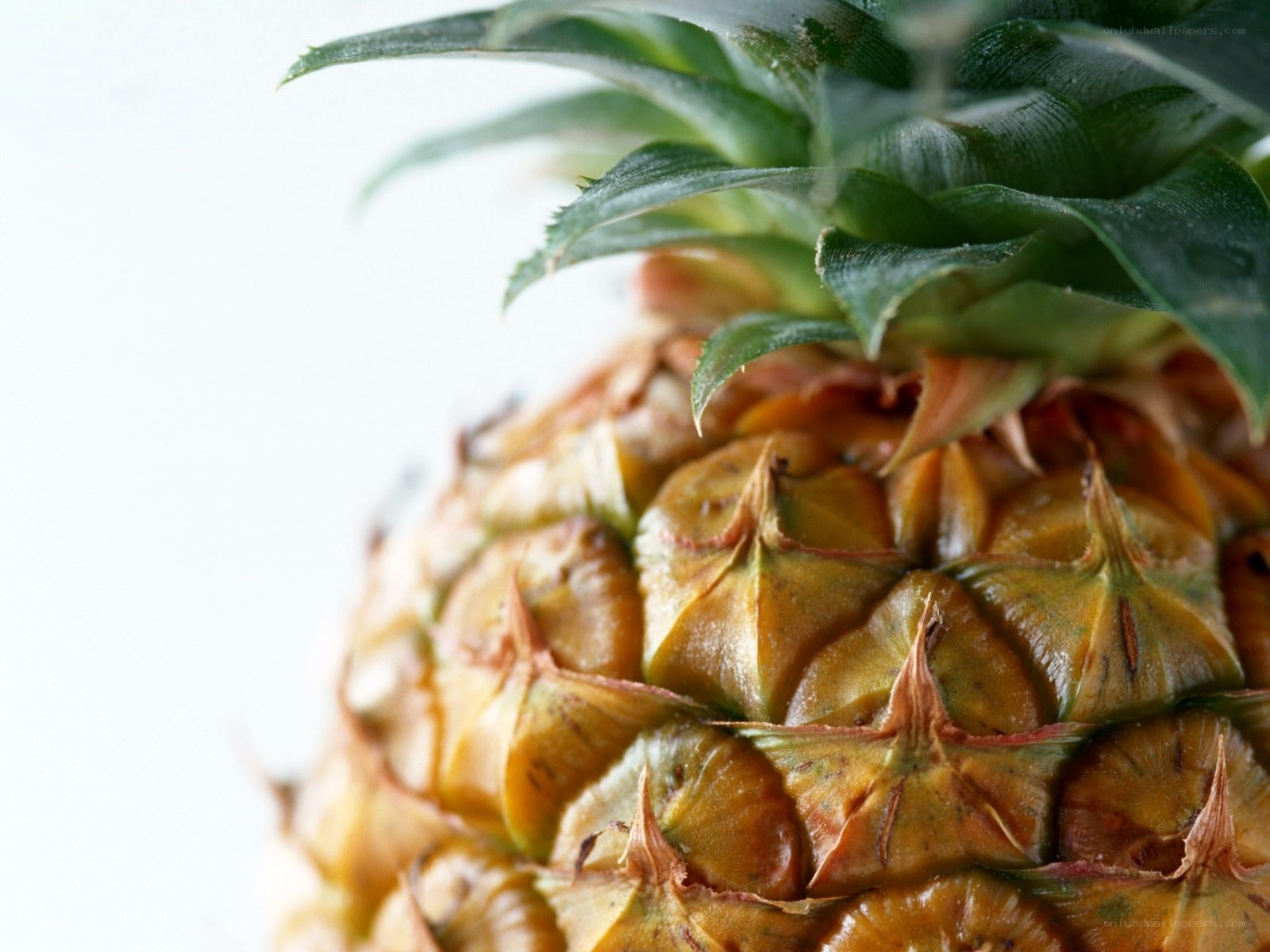 Close-up of a pineapple