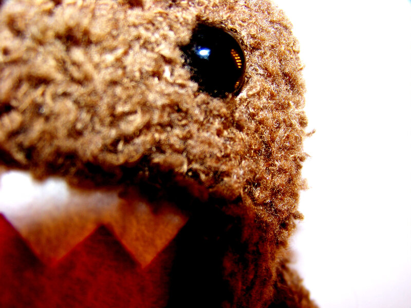 close-up of a plush toy
