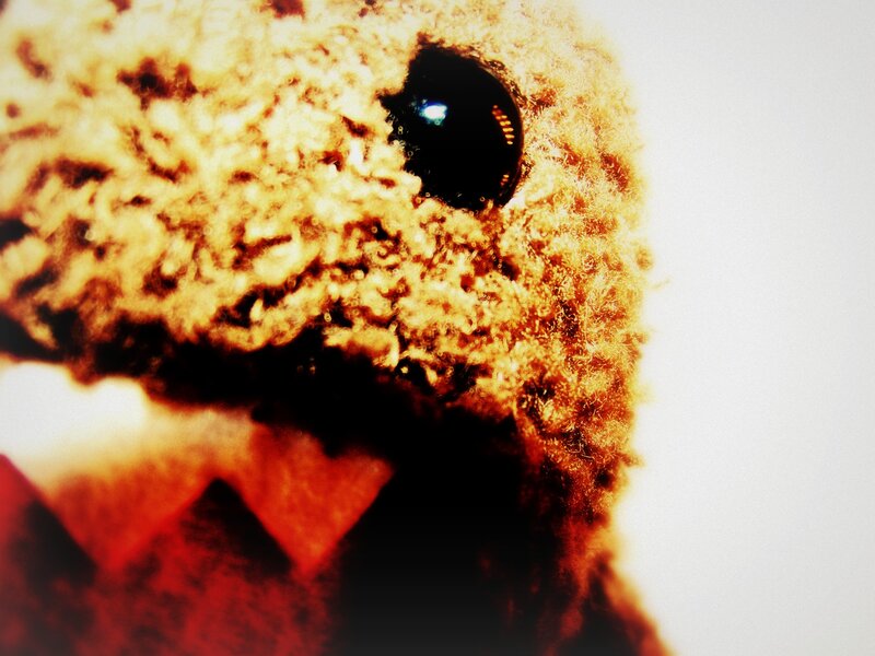 close-up of a plush toy