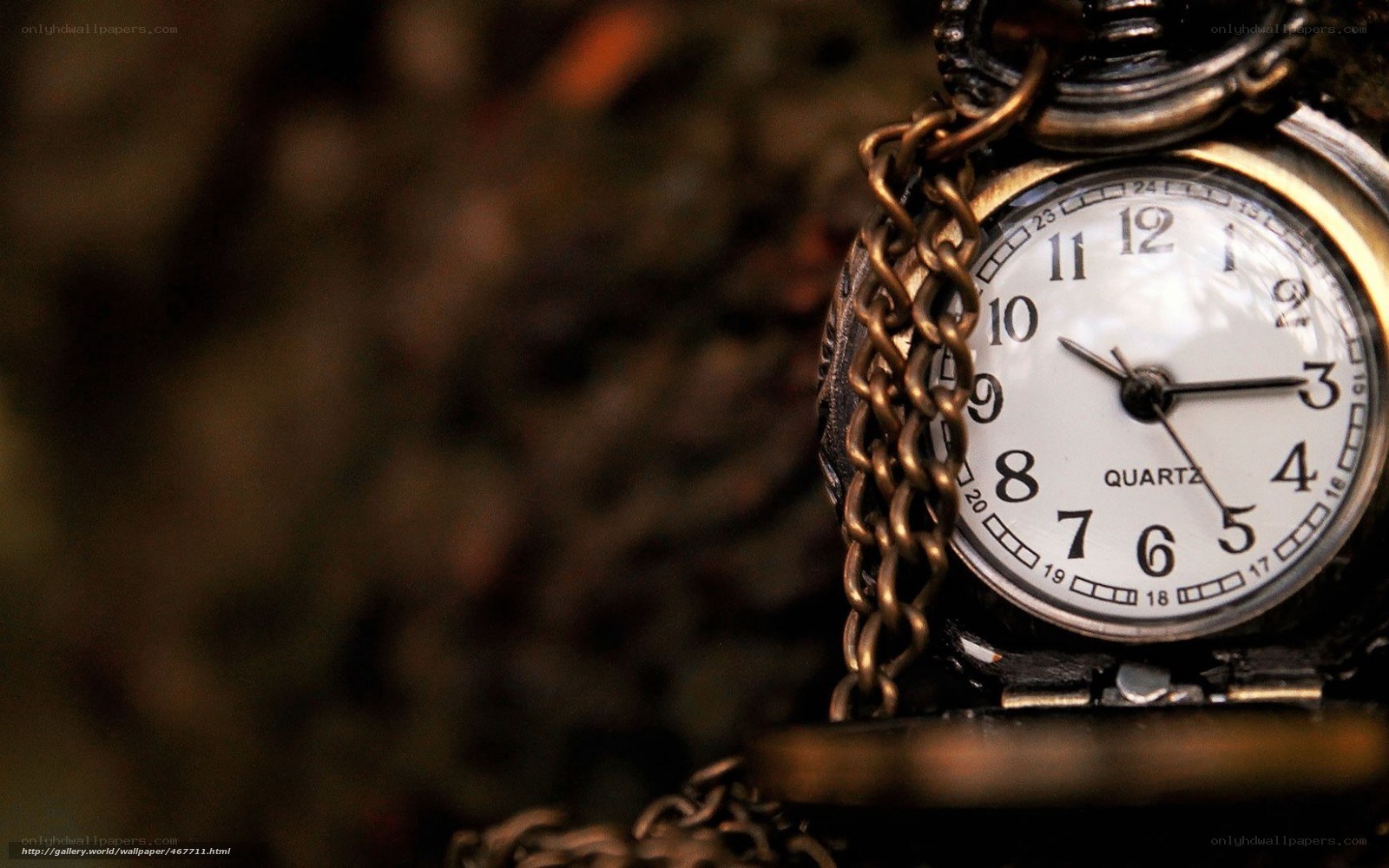 close-up of a pocket watch