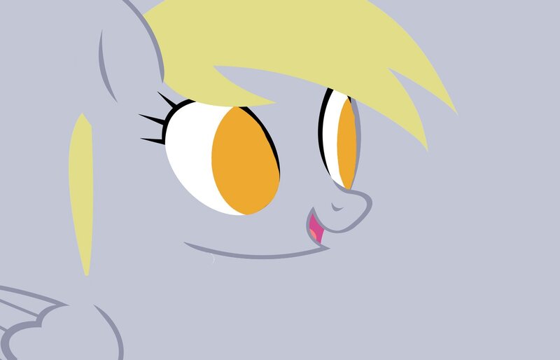 close-up of a pony's face
