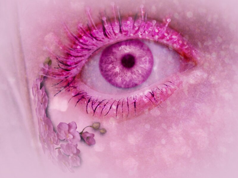Close-up of a Purple Eye — Pink