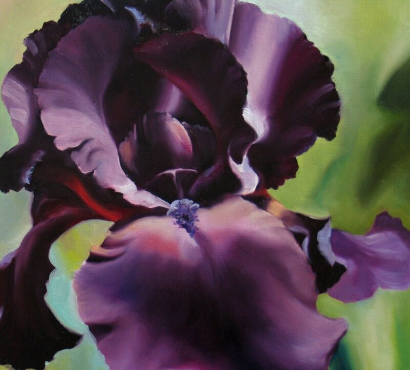 Close-up of a purple iris