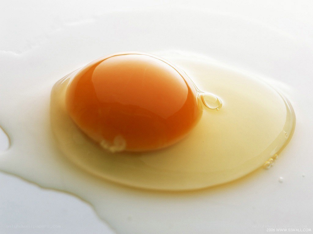close-up of a raw egg