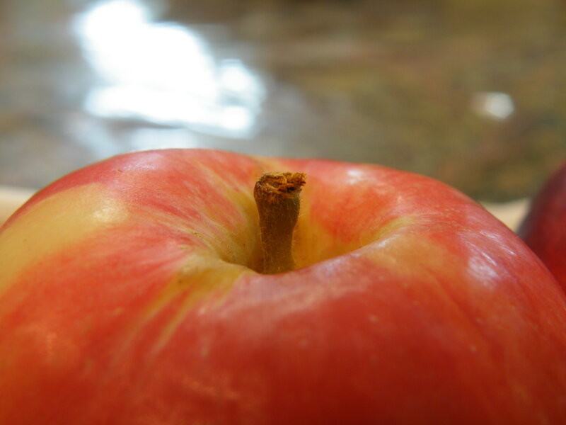 close-up of a red apple