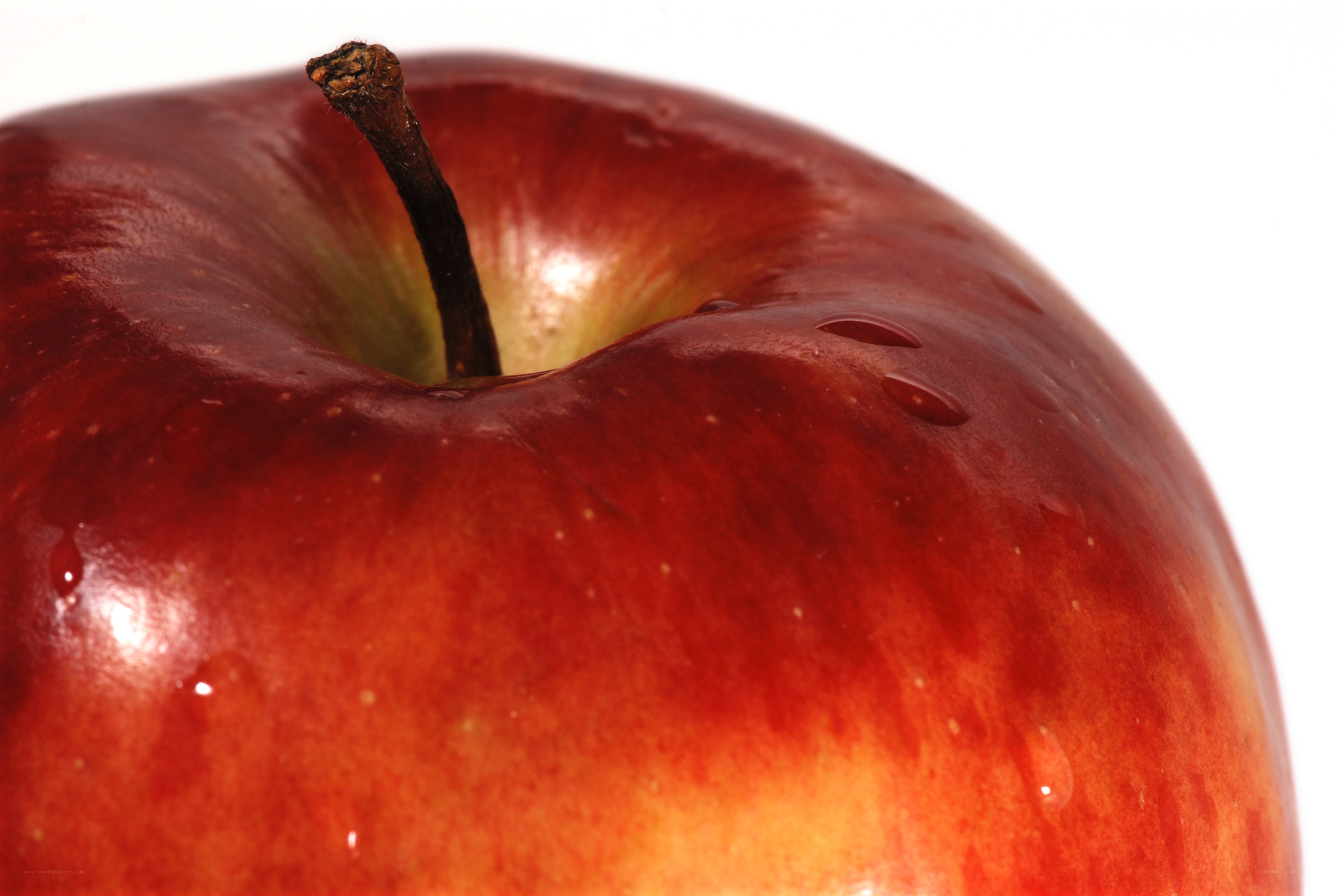 close-up of a red apple