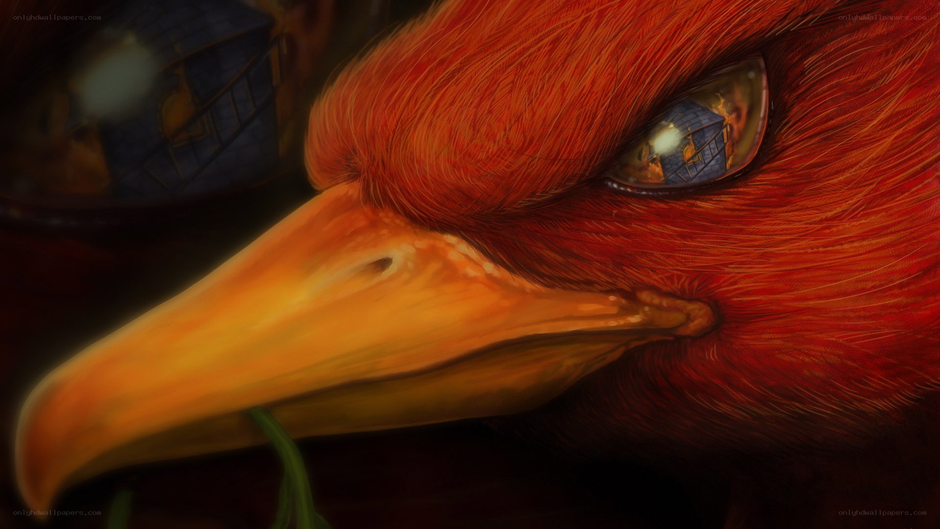 close-up of a red bird