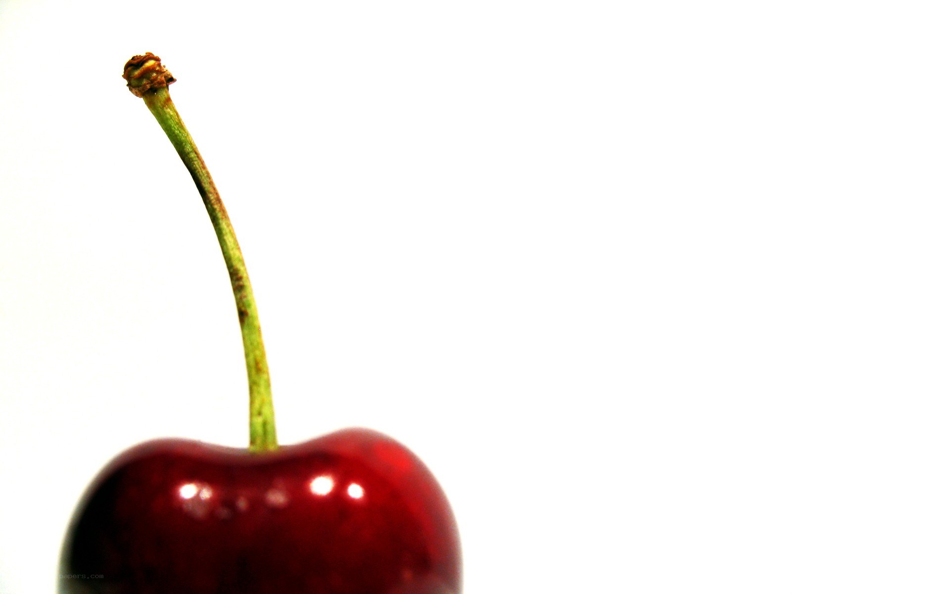 close-up of a red cherry