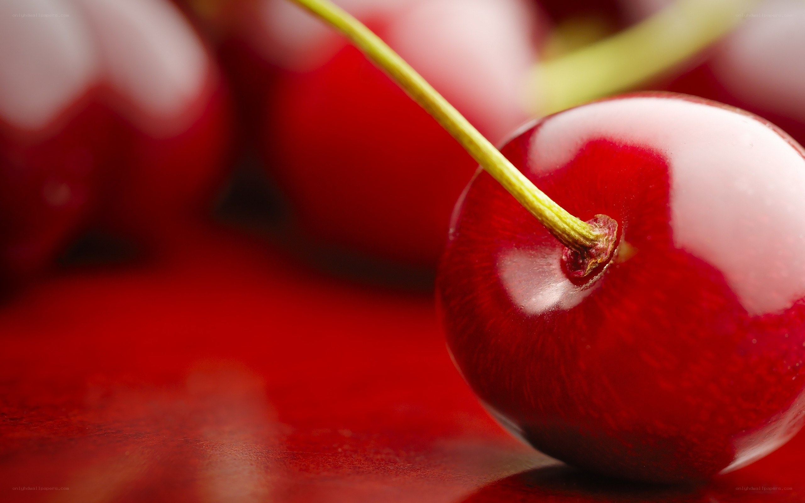 Close-up of a red cherry