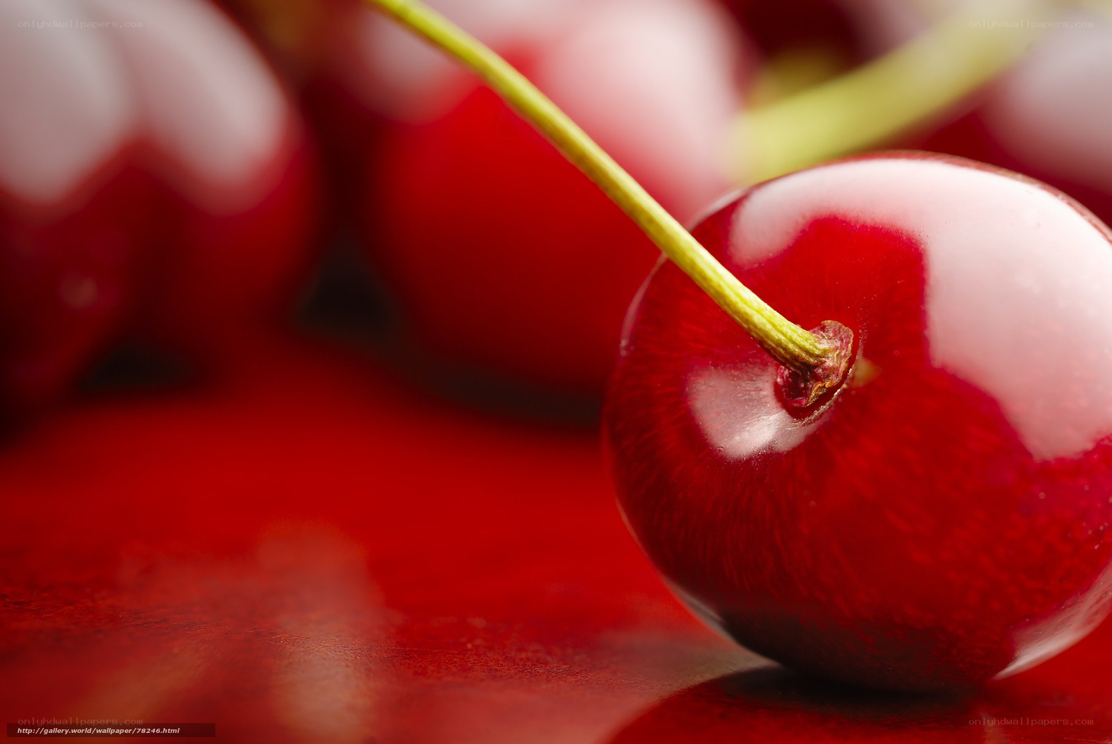 Close-up of a red cherry