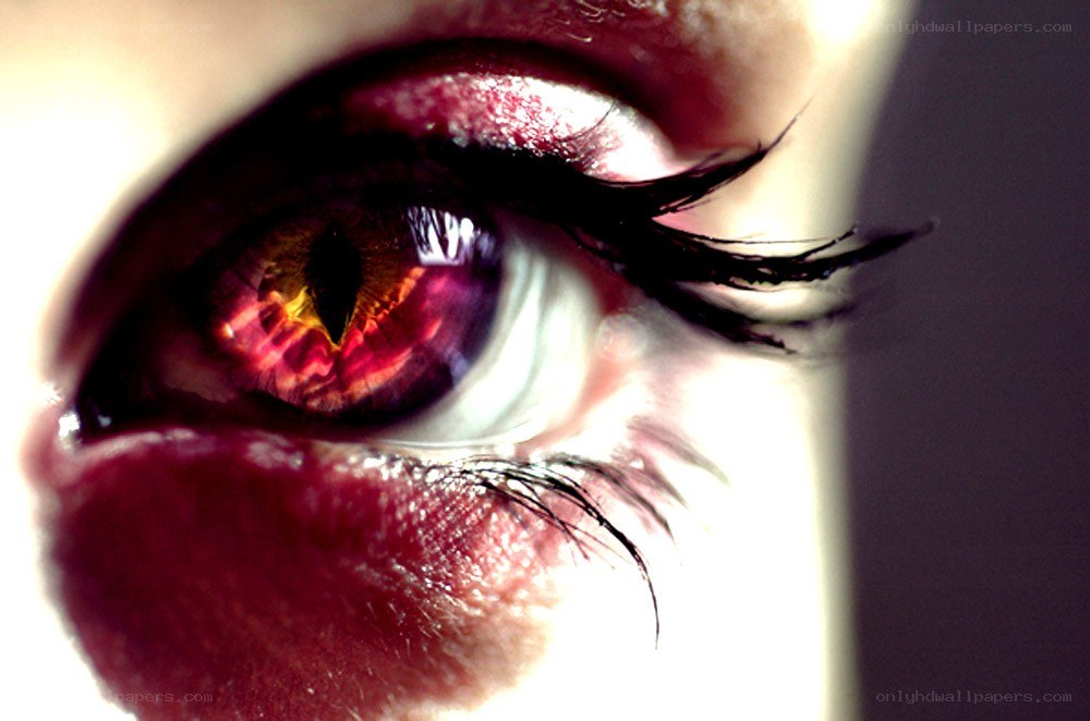 close-up of a red eye
