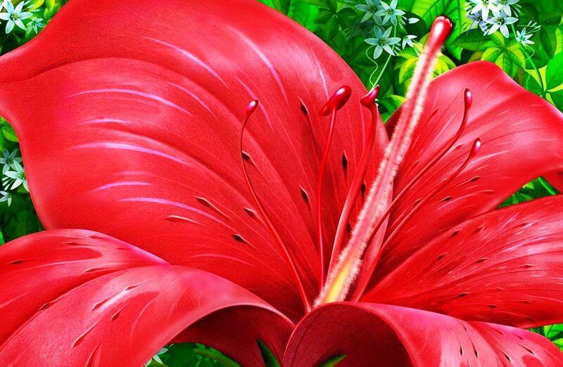 Close-up of a red lily