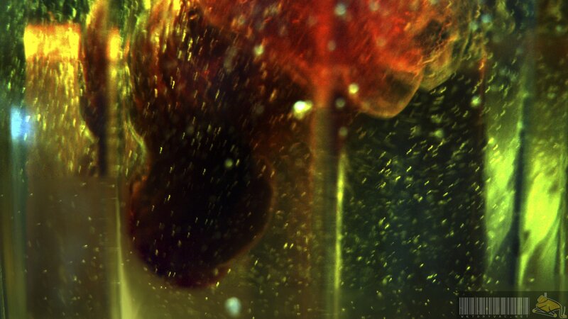 close-up of a red object in liquid