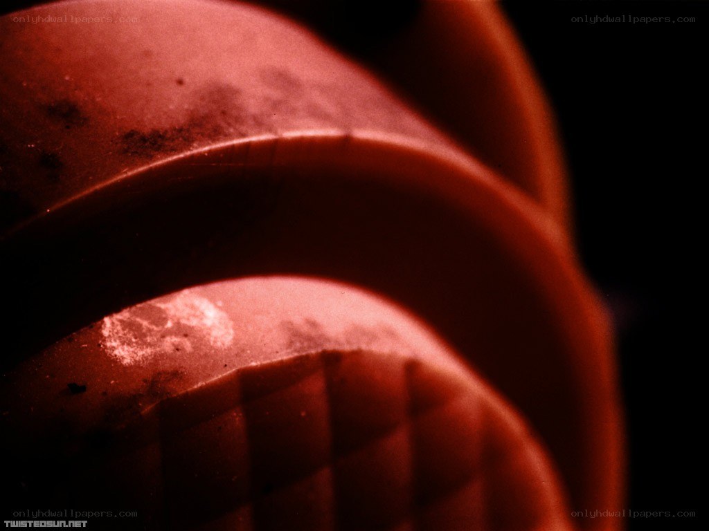 Close-up of a red object