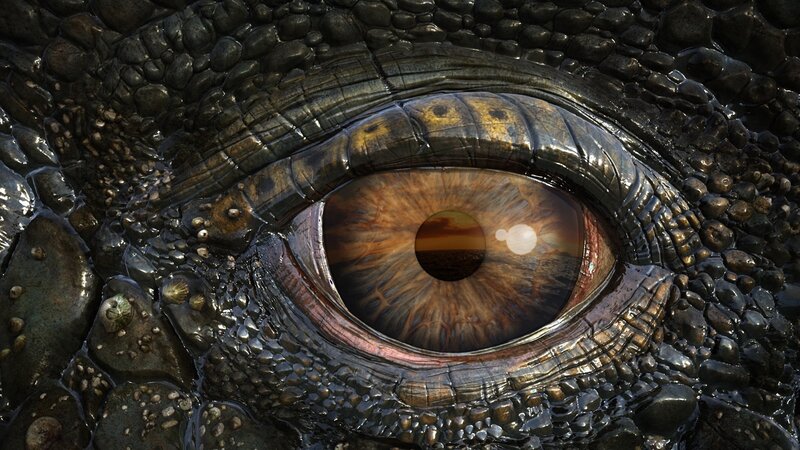 close-up of a reptile eye