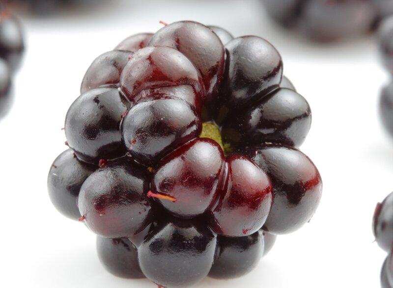 Close-up of a ripe blackberry