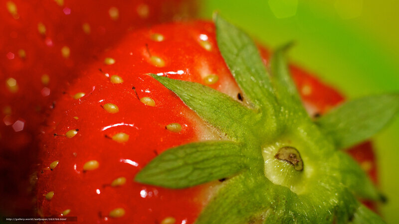 Close-up of a ripe strawberry