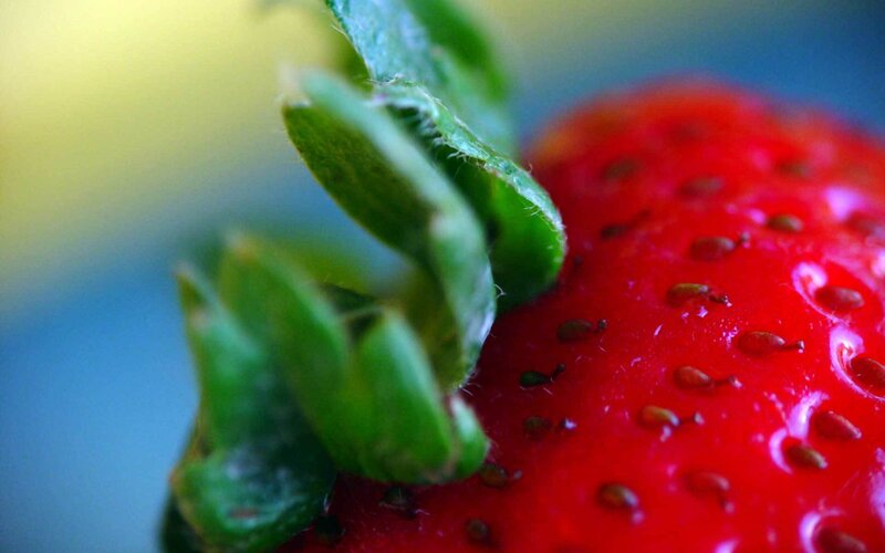 Close-up of a ripe strawberry