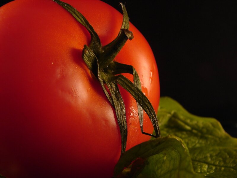 close-up of a ripe tomato