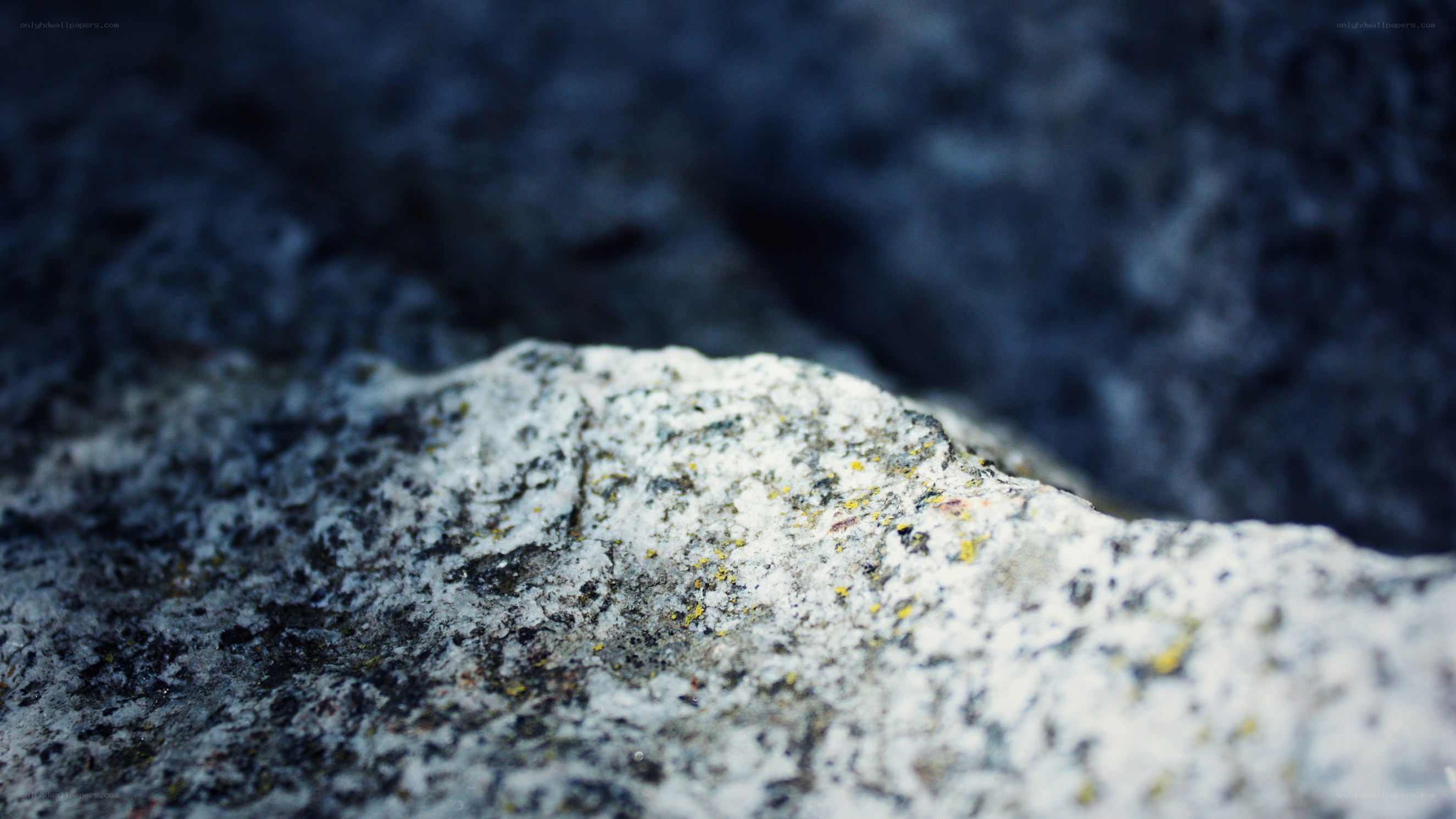 close-up of a rocky surface