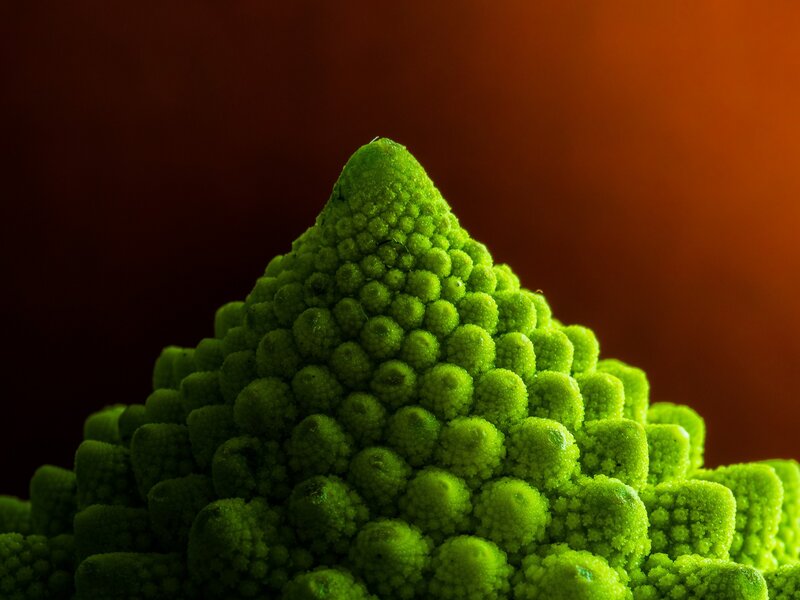Close-up of a Romanesco broccoli