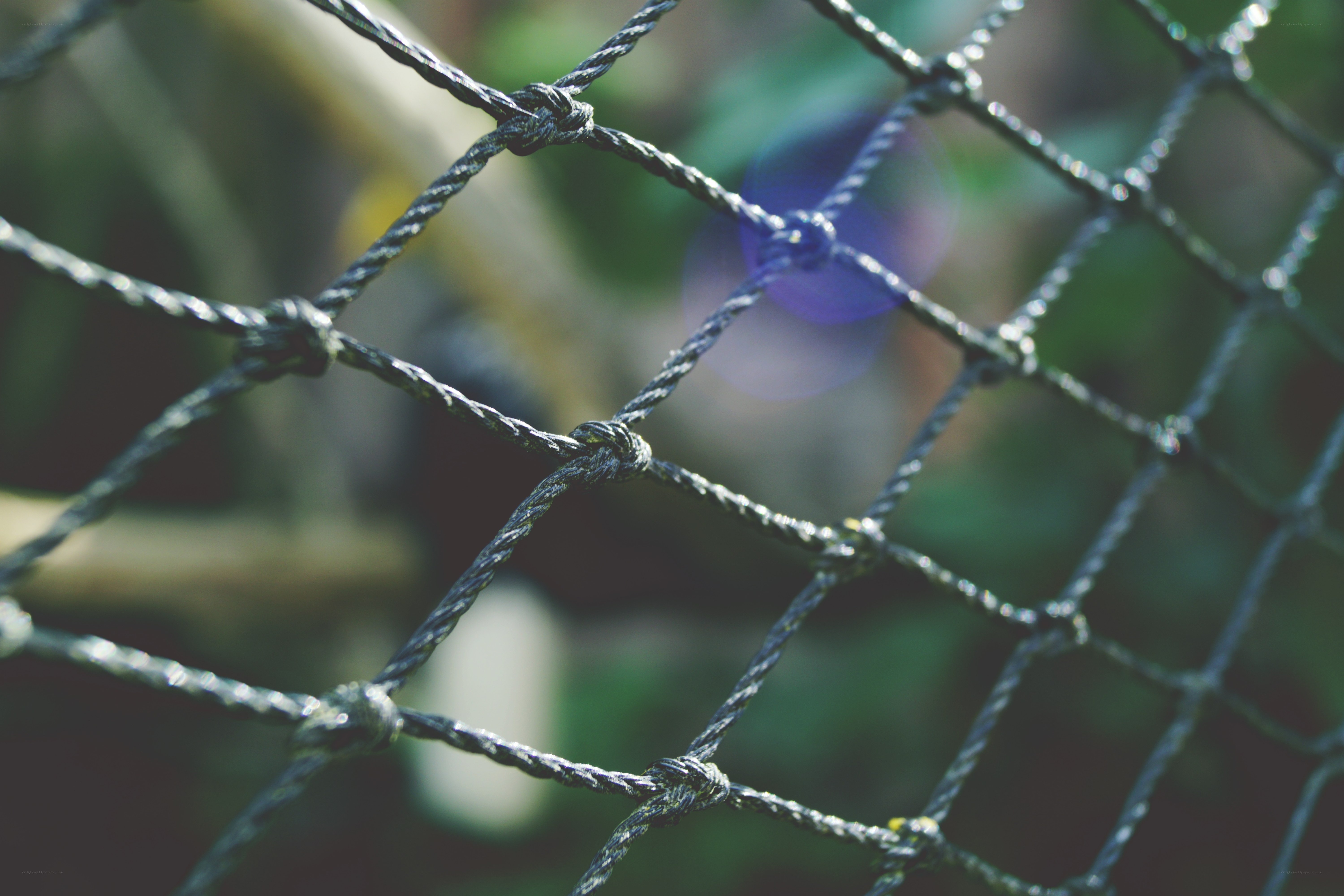close-up of a rope net