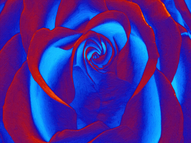 Close-up of a Rose — Blue, Dramatic, Digital Art