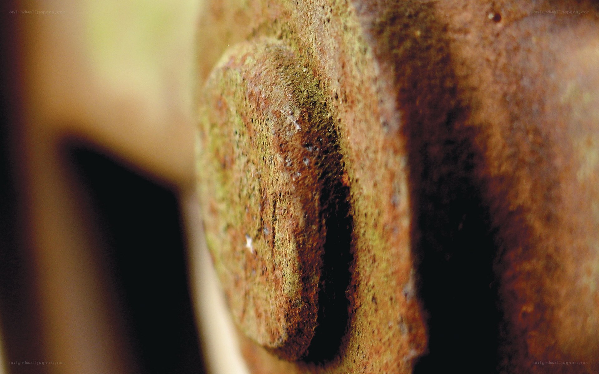 close-up of a rusty bolt