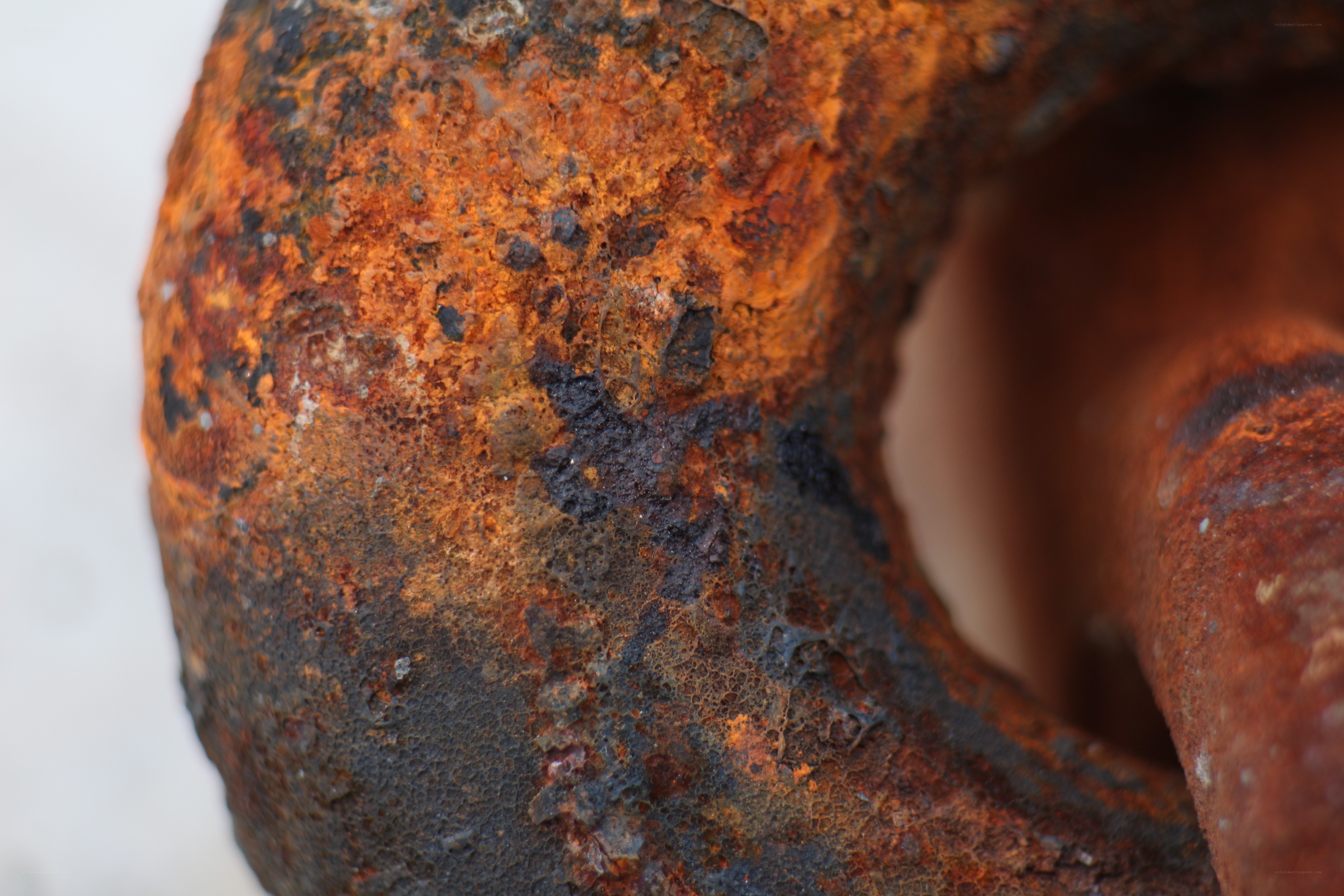 Close-up of a rusty metal object