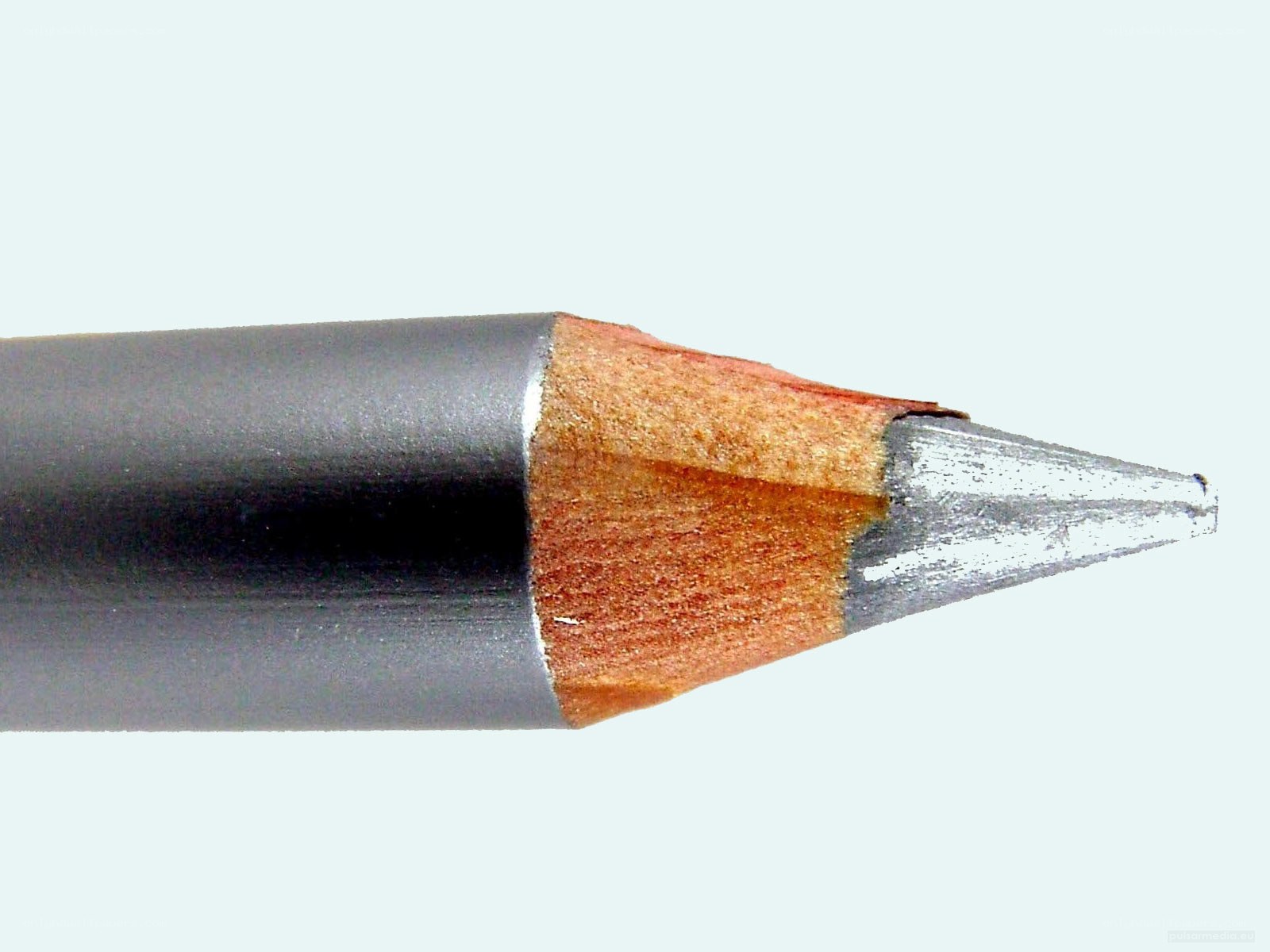 close-up of a sharpened pencil