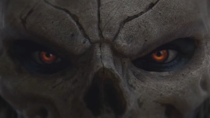 Close-up of a Skull — Gray