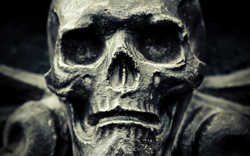 close-up of a skull sculpture