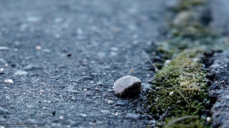 Close-up of a small rock