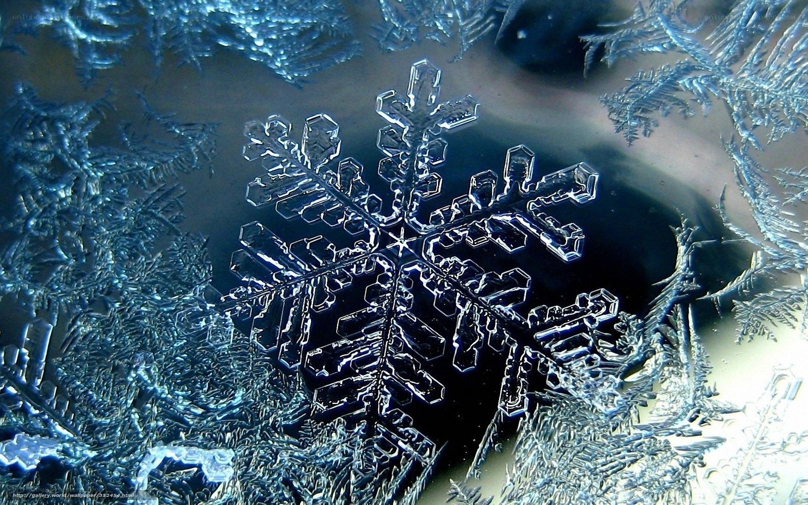 Close-up of a snowflake