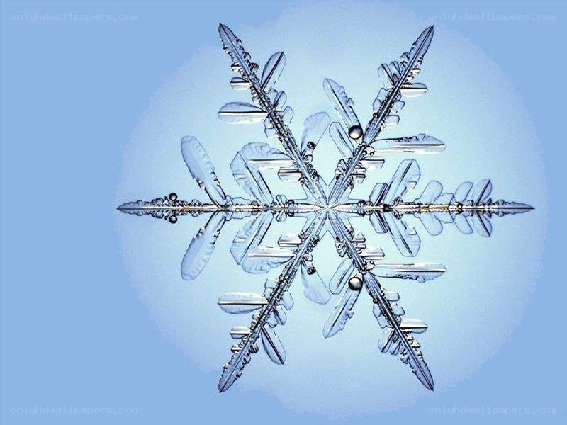 close-up of a snowflake