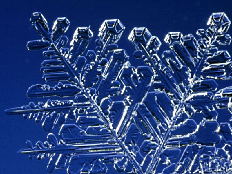 Close-up of a snowflake