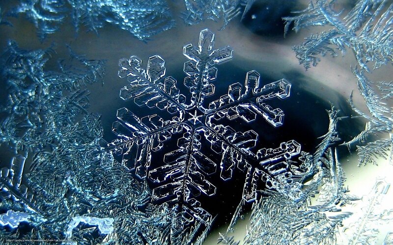 Close-up of a snowflake