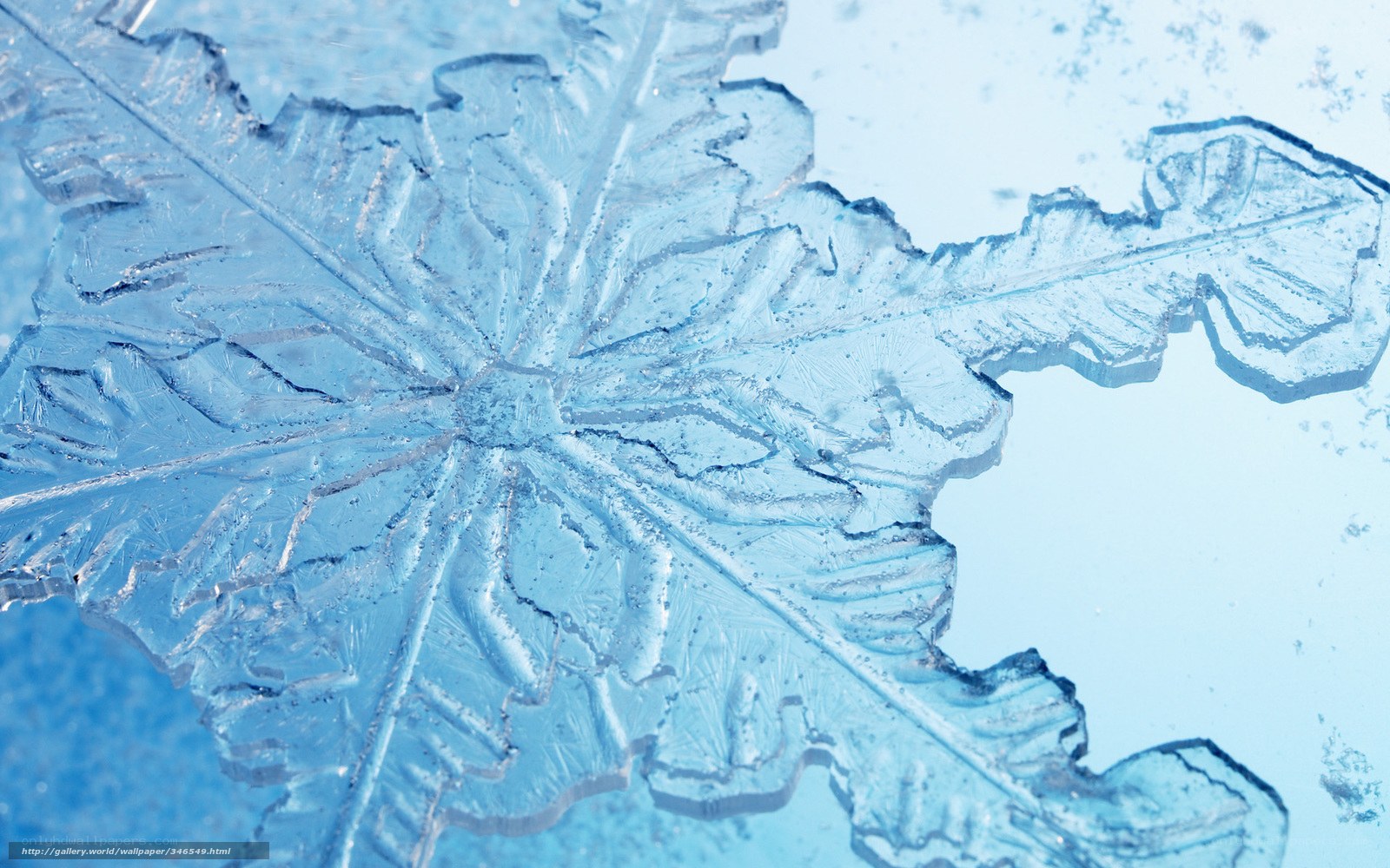 Close-up of a snowflake