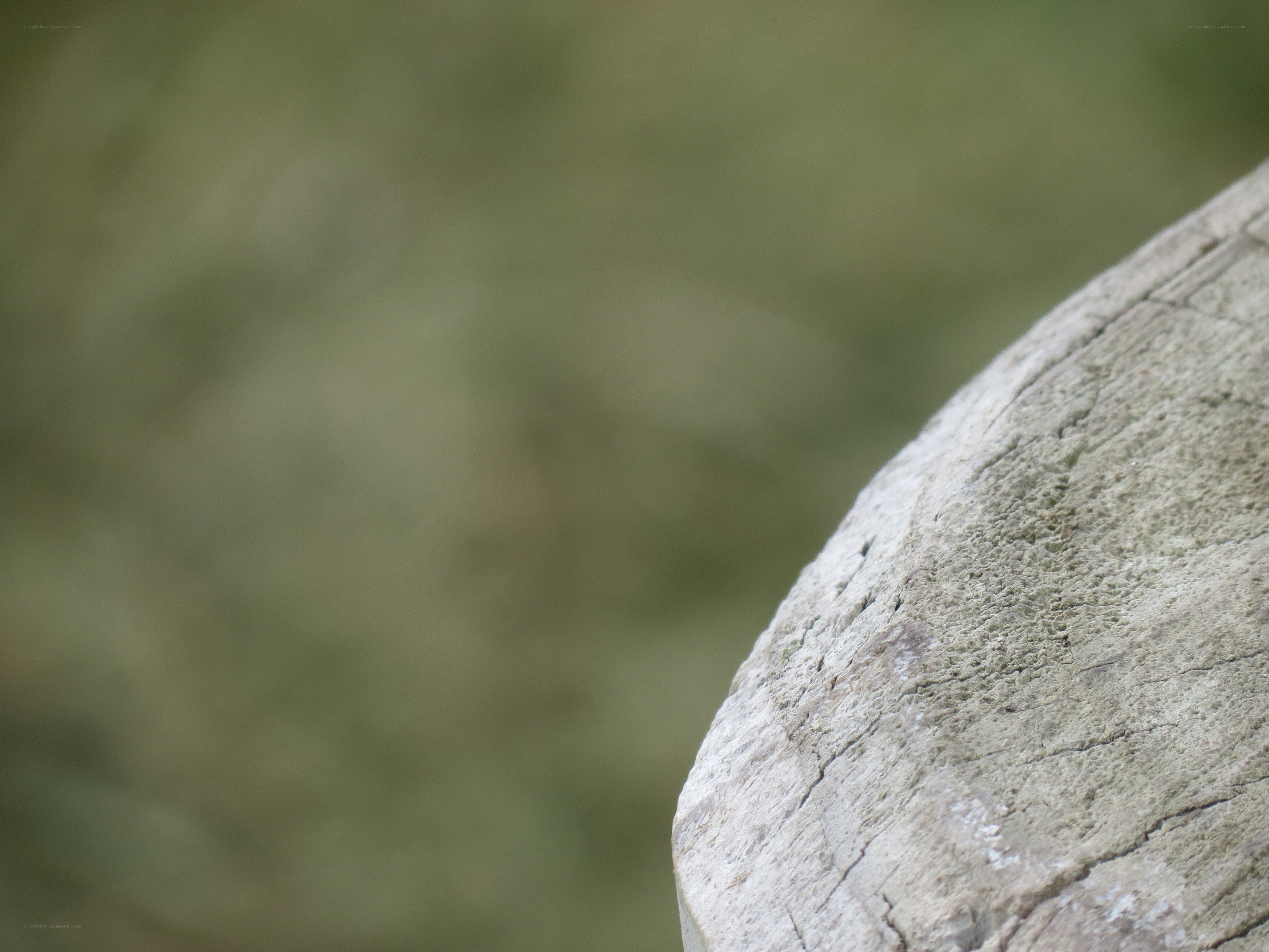 close-up of a stone surface