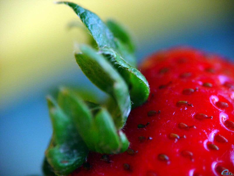 close-up of a strawberry