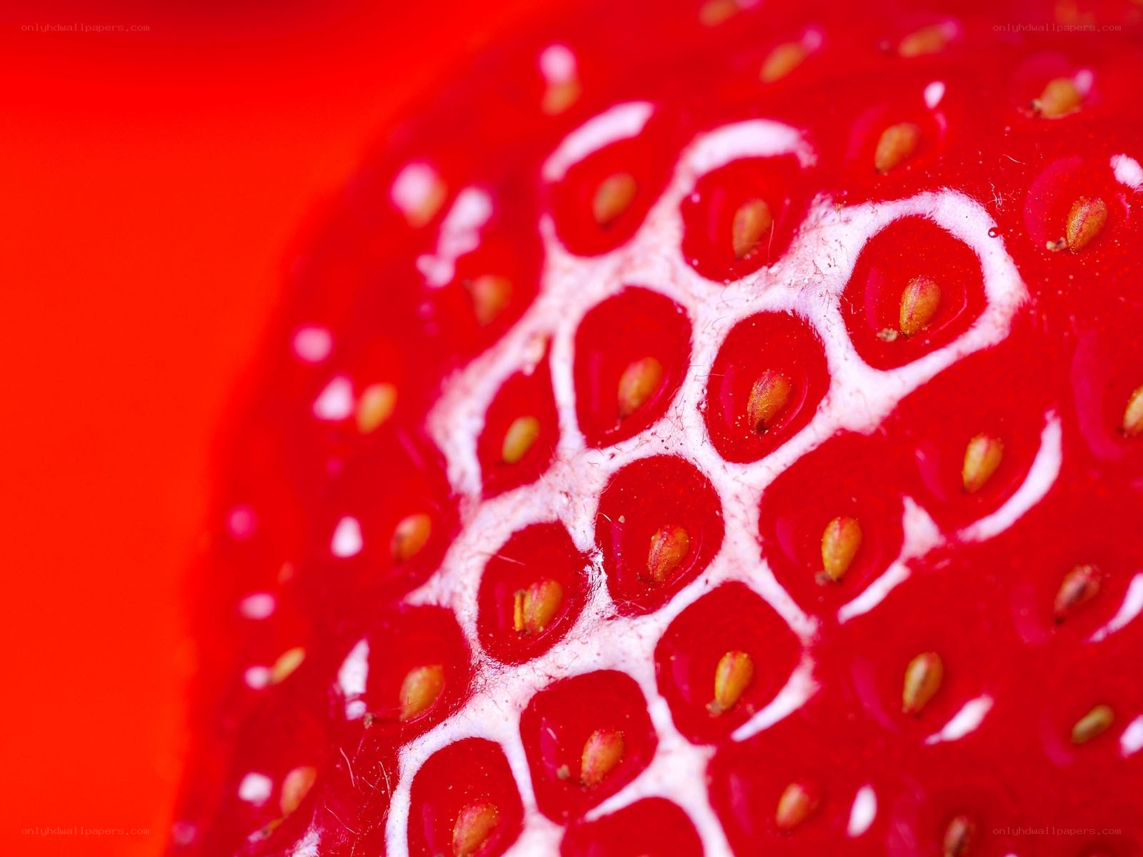 Close-up of a strawberry surface